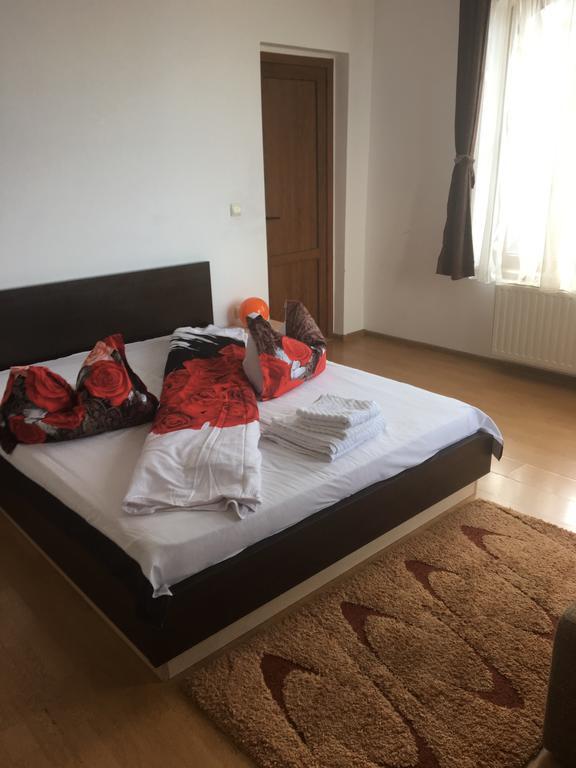 Pensiunea Rubin Ranca Buitenkant foto