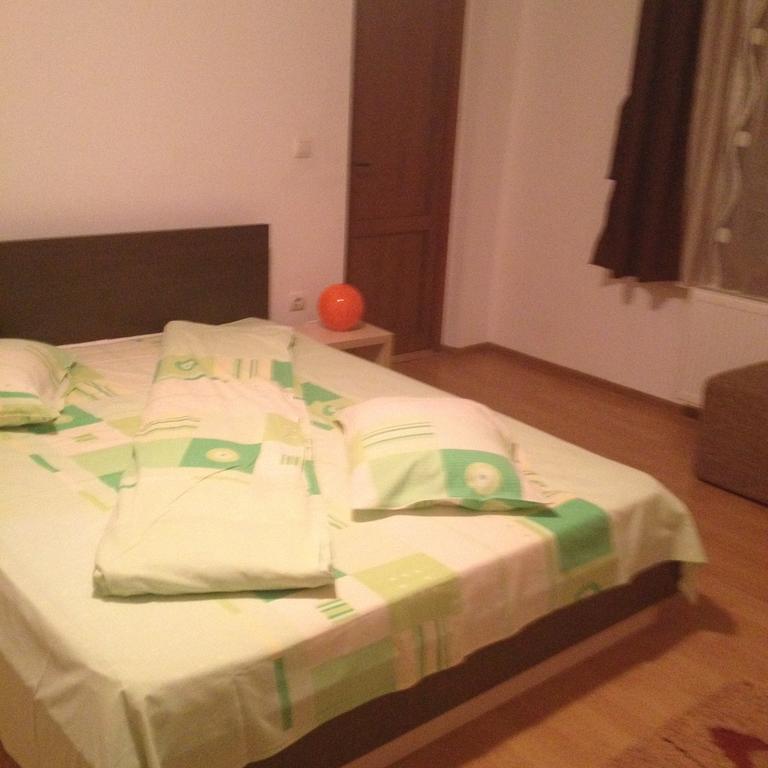 Pensiunea Rubin Ranca Buitenkant foto